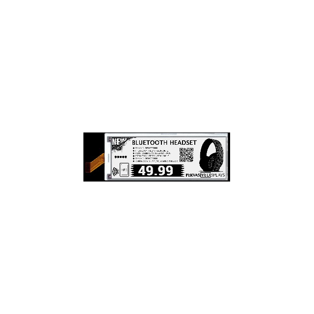 Pervasive Displays E2581CS0B1